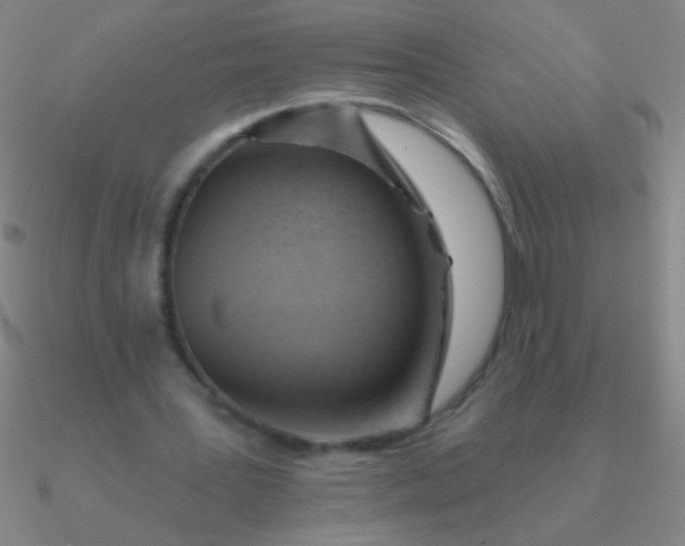 X0000090630387200708071250