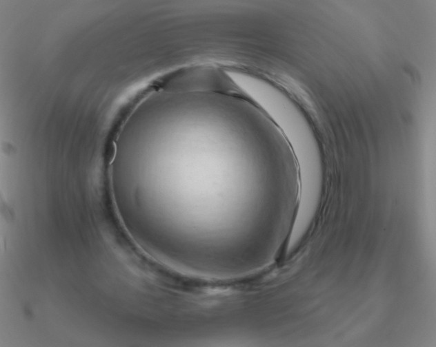 X0000090630388200708071250