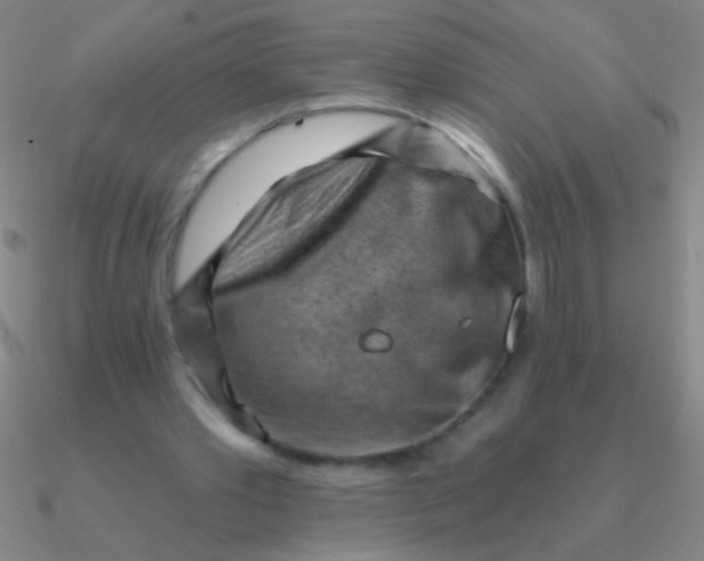 X0000090630389200708071250