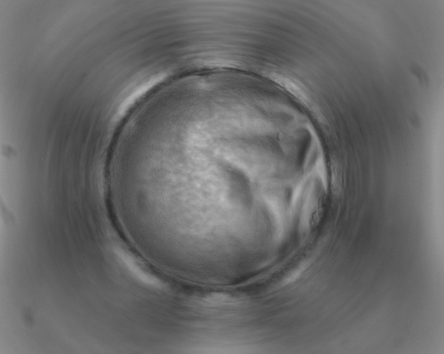 X0000090630390200708071250