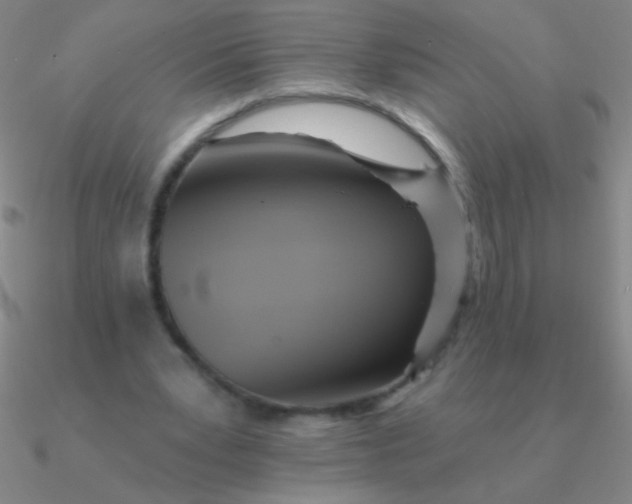 X0000090630391200708071250