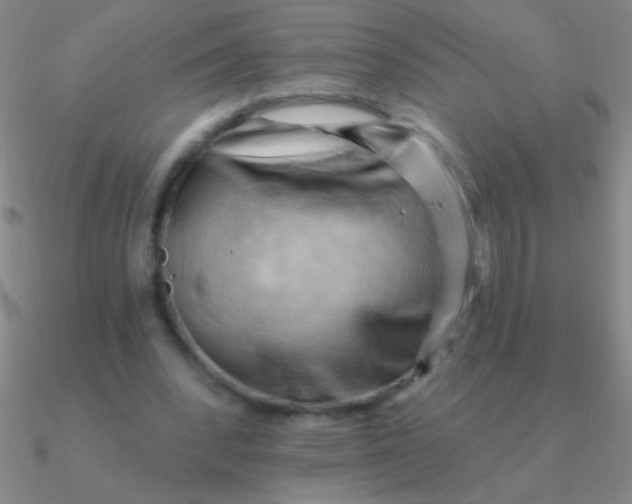 X0000090630392200708071250