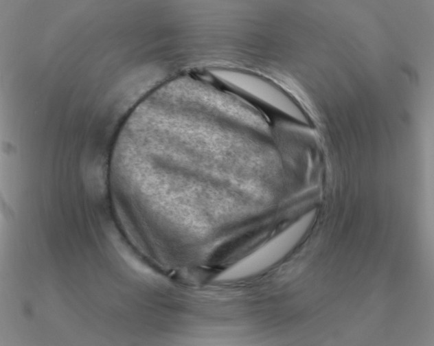 X0000090630393200708071250