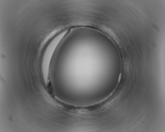 X0000090630395200708071250