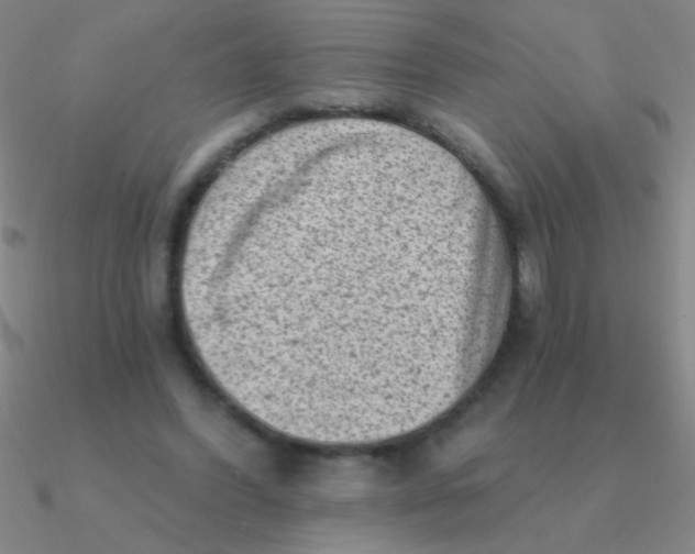 X0000090630396200708071250