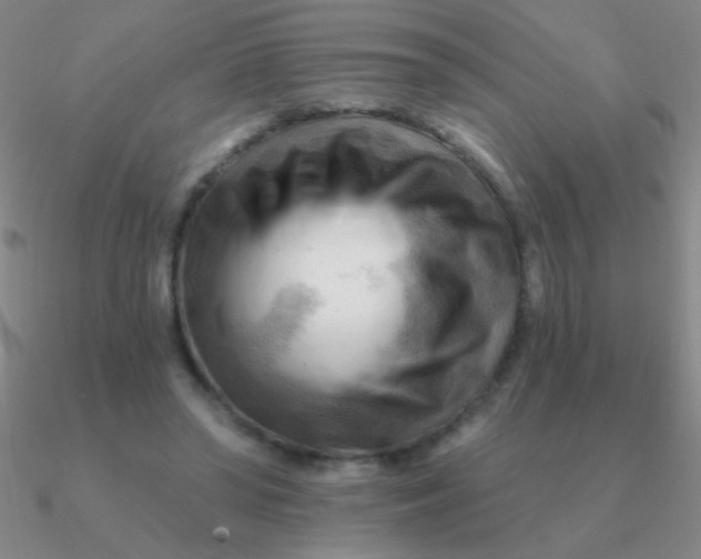 X0000090630398200708071250