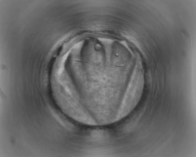 X0000090630400200708071250