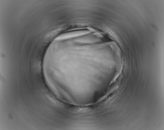 X0000090630401200708071250