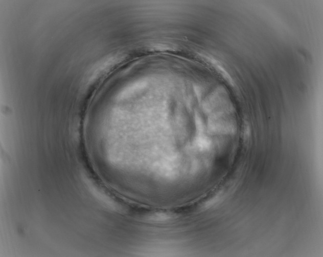 X0000090630402200708071250