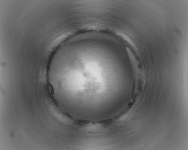 X0000090630403200708071250