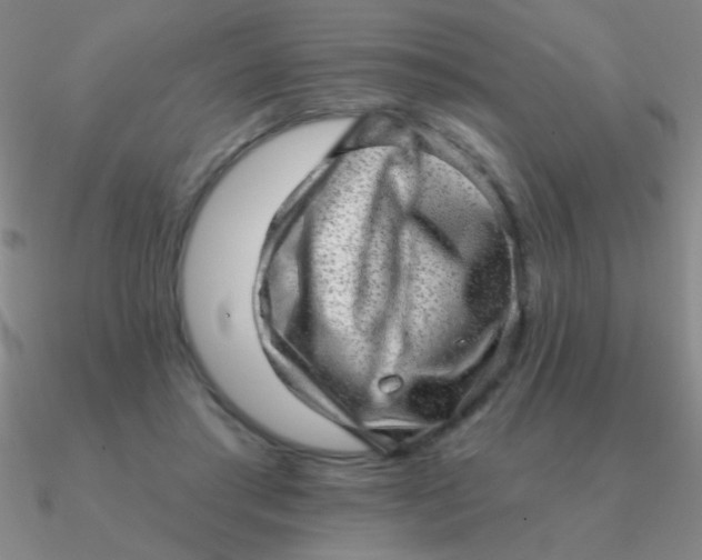 X0000090630405200708071250