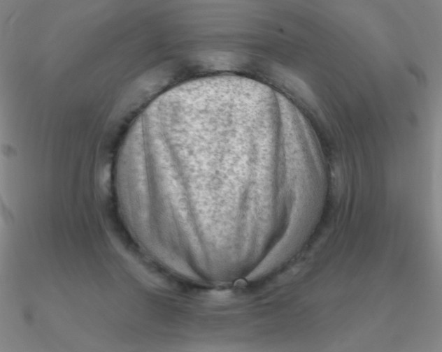 X0000090630406200708071250