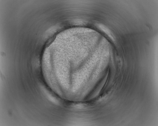 X0000090630407200708071250