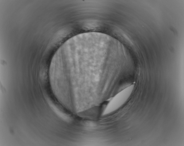 X0000090630408200708071250