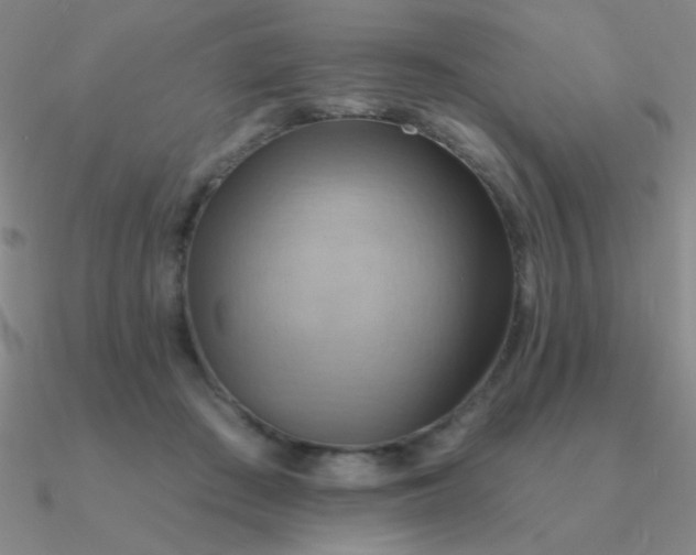 X0000090630409200708071250