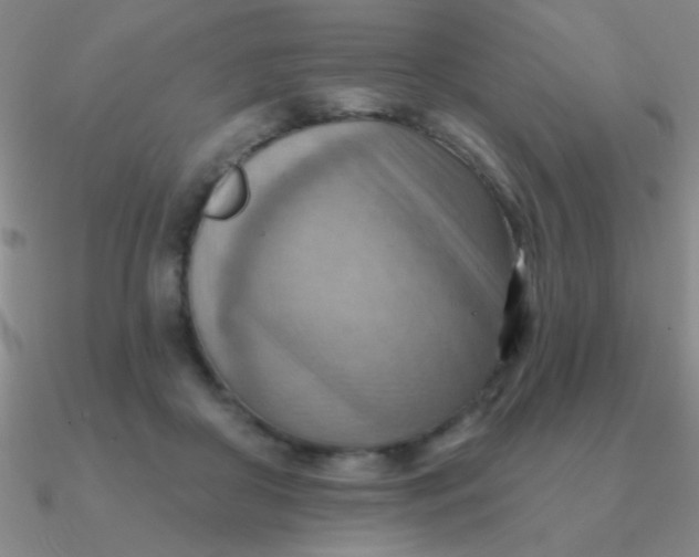 X0000090630410200708071250