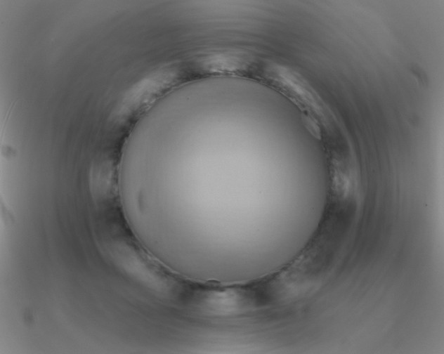 X0000090630411200708071250