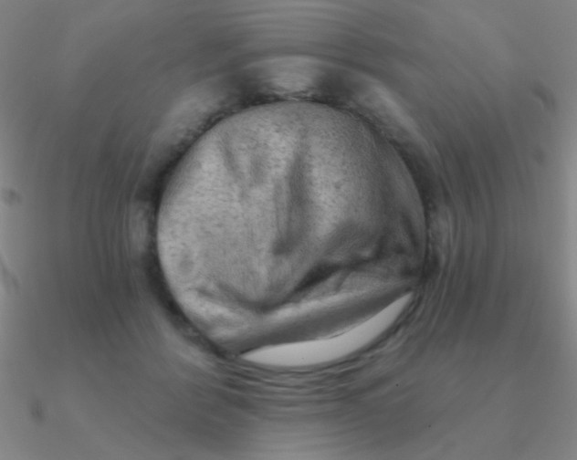 X0000090630412200708071250