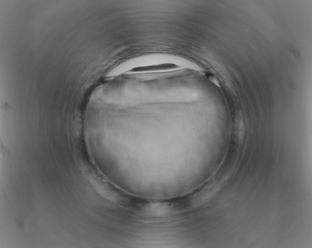 X0000090630413200708071250