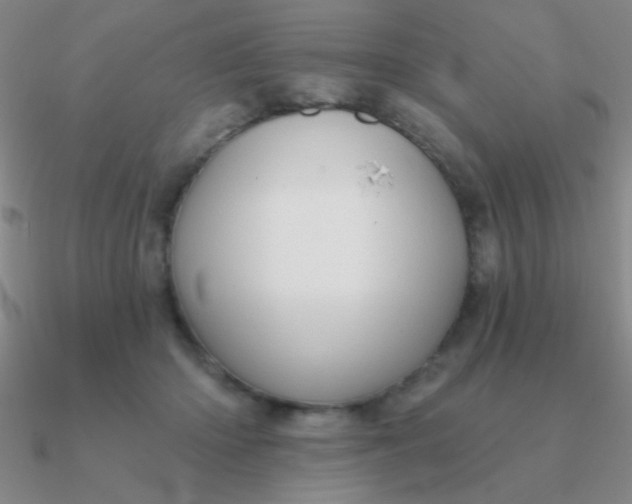 X0000090630414200708071250