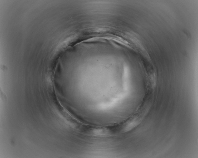 X0000090630415200708071250