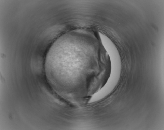 X0000090630416200708071250