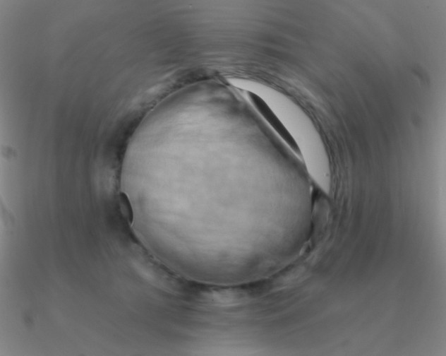 X0000090630417200708071250