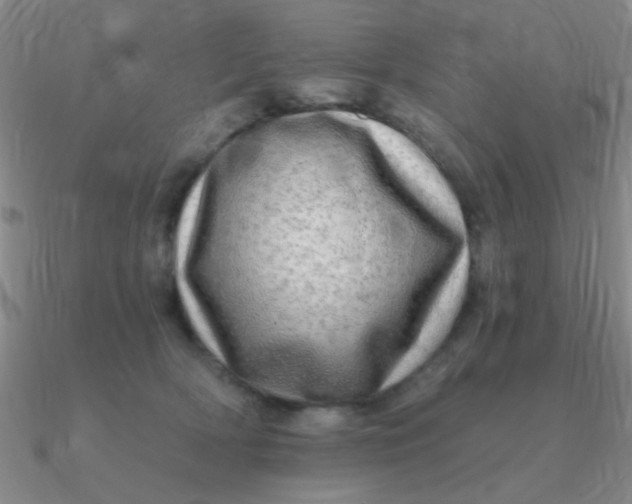 X0000090630418200708071250