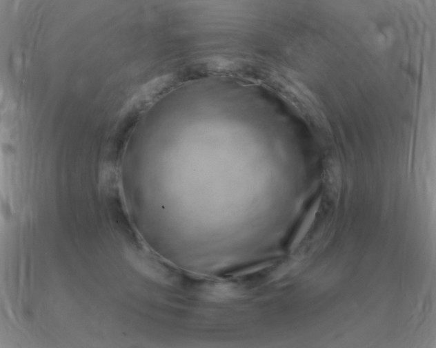 X0000090630419200708071250