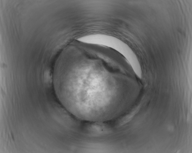 X0000090630420200708071250