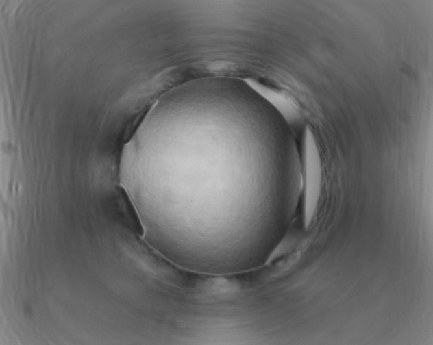 X0000090630421200708071250