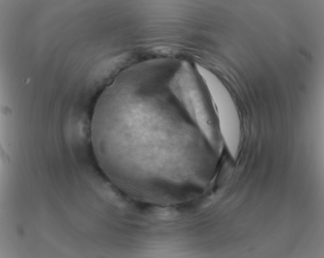 X0000090630424200708071250