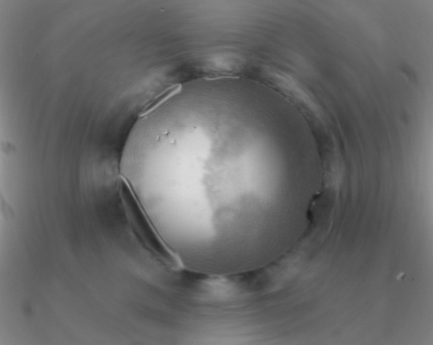 X0000090630425200708071250