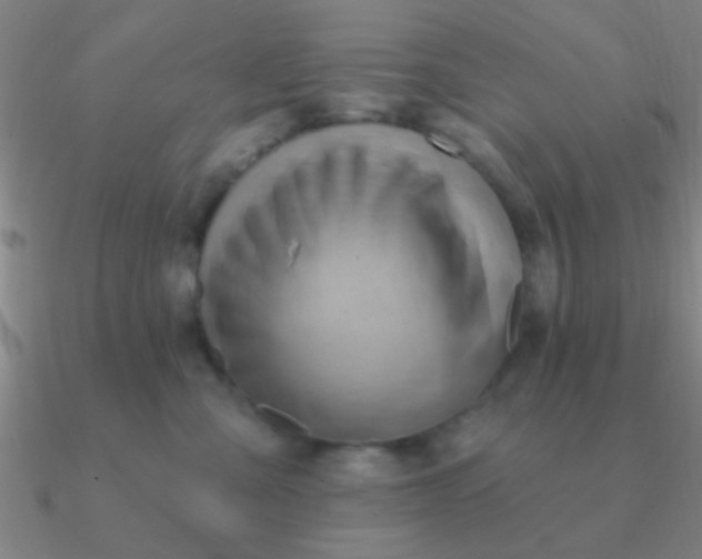 X0000090630427200708071250