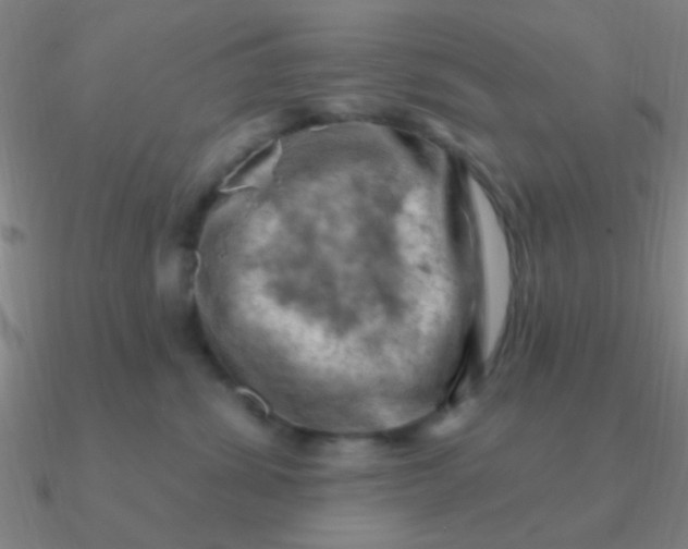 X0000090630428200708071250