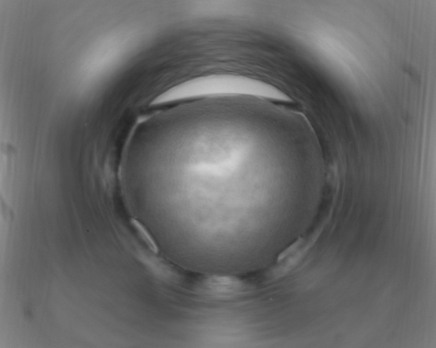 X0000090630429200708071250