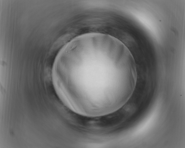 X0000090630430200708071250