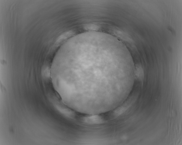 X0000090630431200708071249