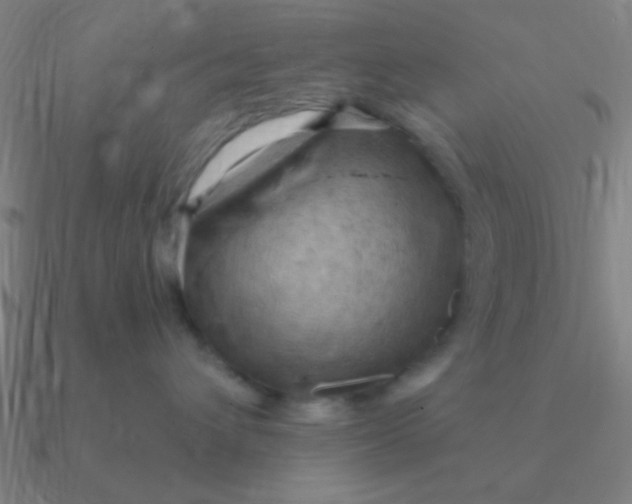 X0000090630432200708071249