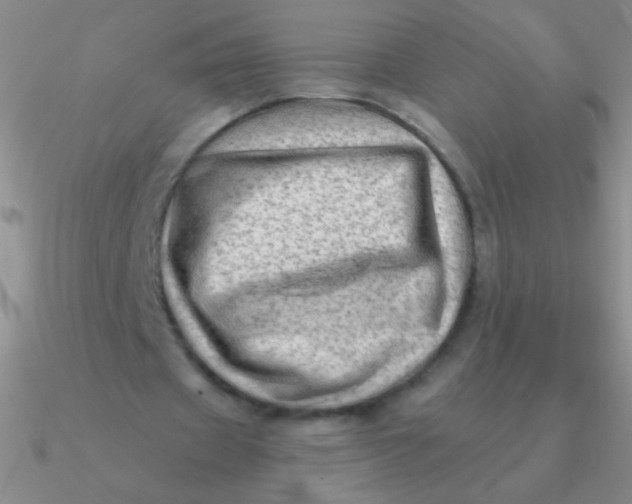 X0000090630433200708071249