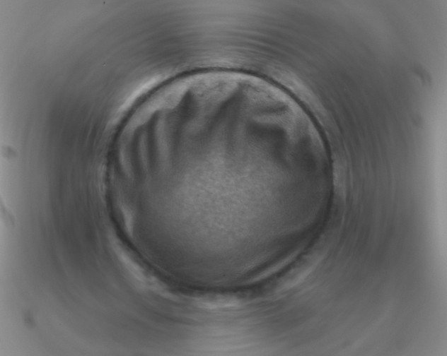 X0000090630434200708071249