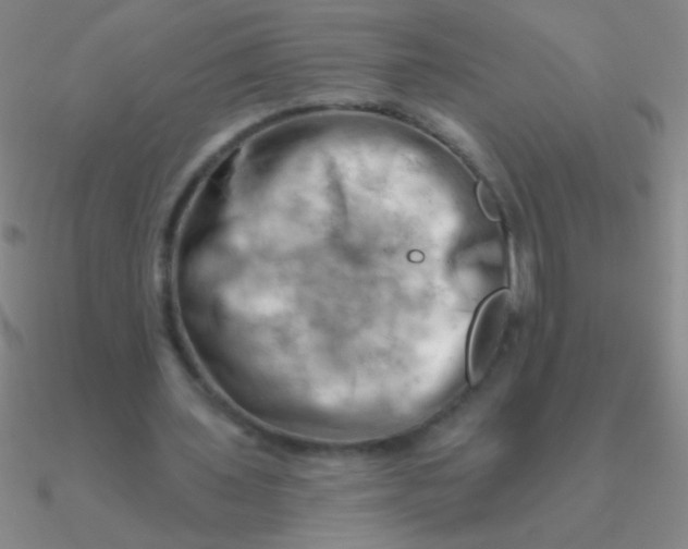 X0000090630435200708071249