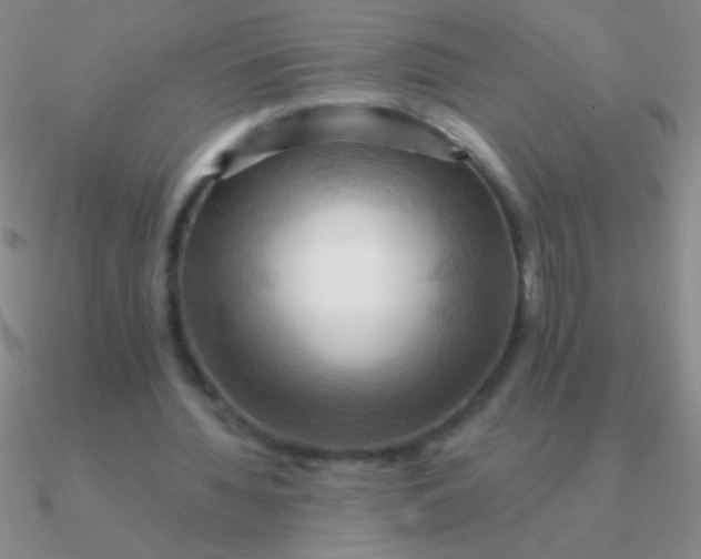 X0000090630436200708071249