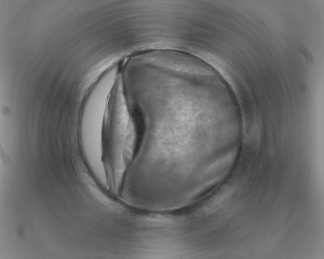 X0000090630437200708071249