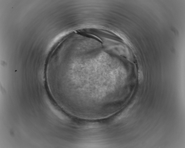 X0000090630438200708071249