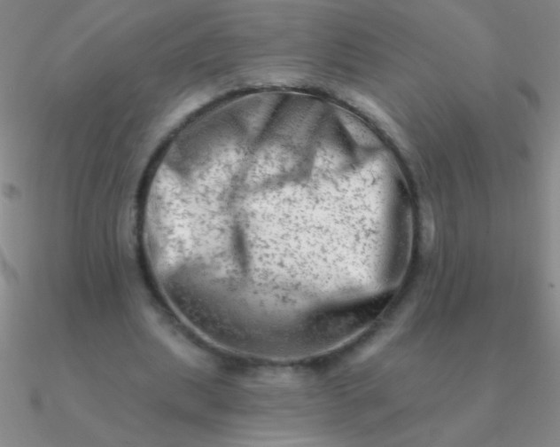 X0000090630439200708071249