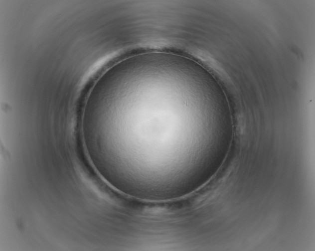 X0000090630440200708071249