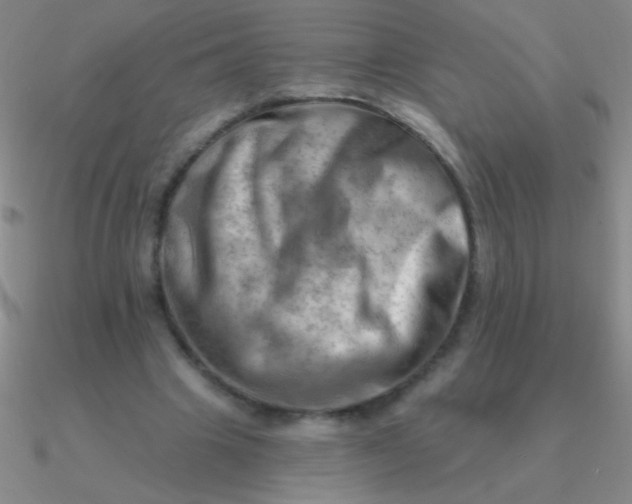 X0000090630441200708071249