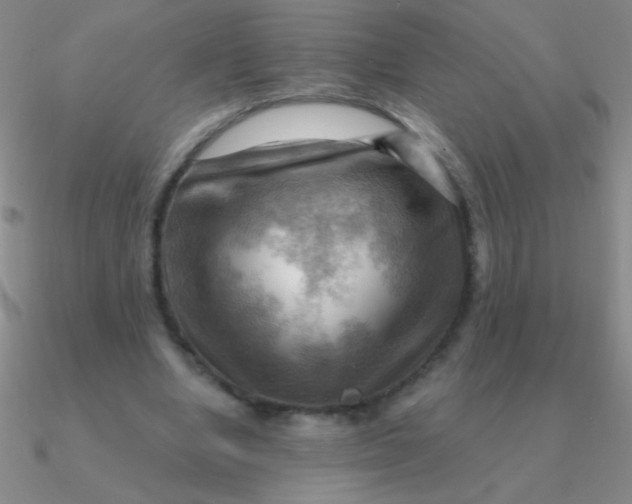 X0000090630442200708071249