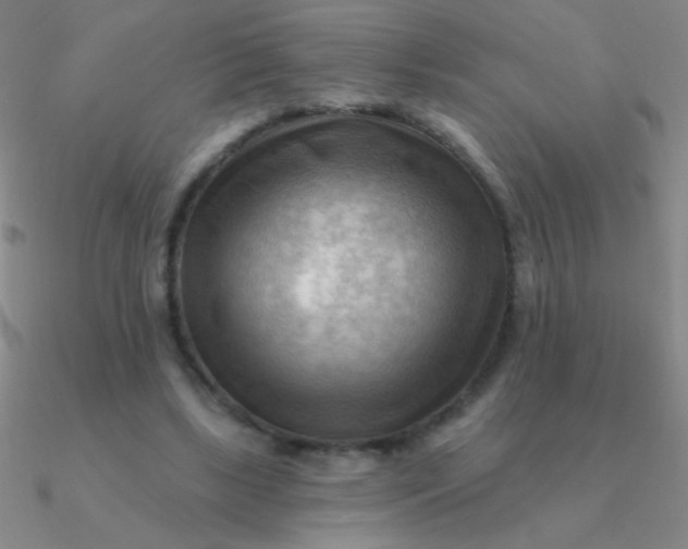 X0000090630443200708071249